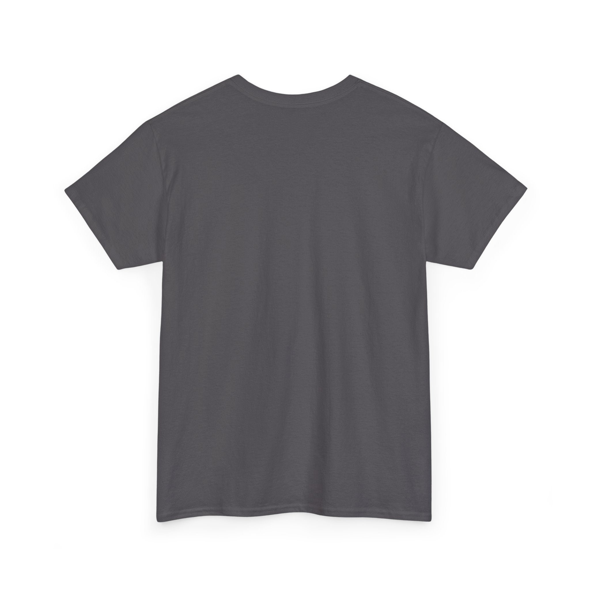 2 Pink Cranes Flying toward Sun - T shirt