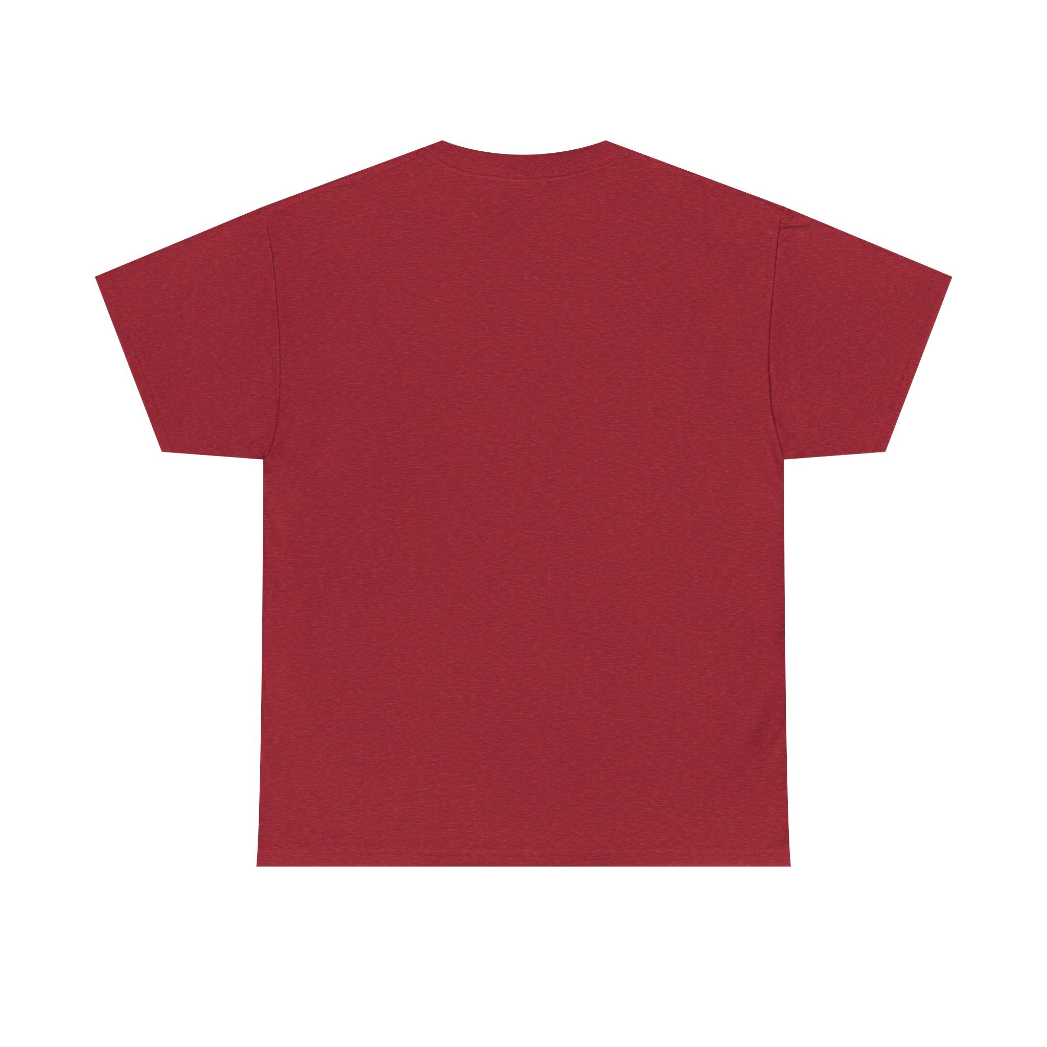 Einstein E=MC² Heavy Cotton Tee | Science Genius Graphic T-Shirt